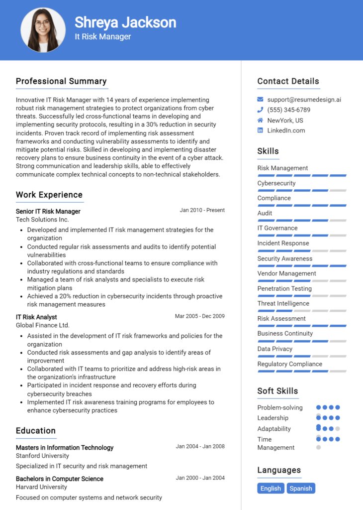 It Risk Manager Resume Example