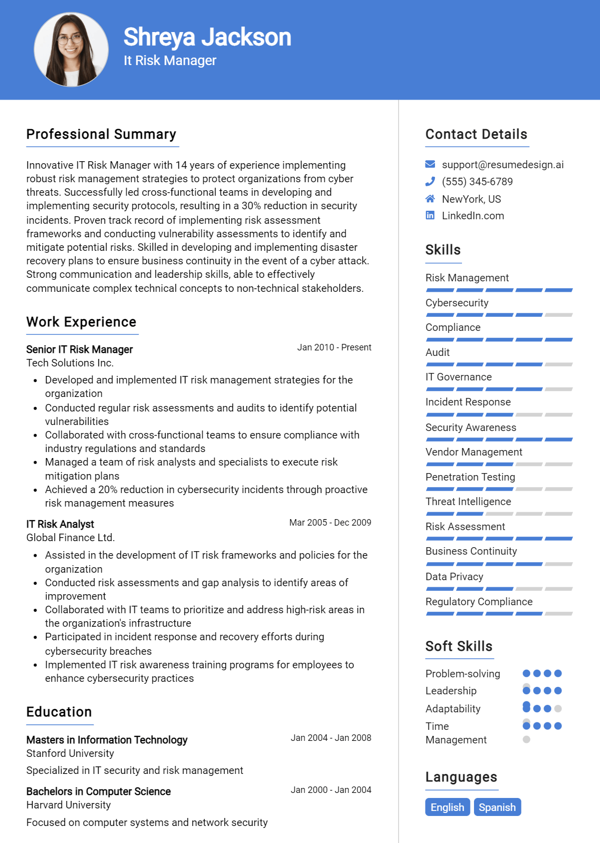 It Risk Manager Resume Example