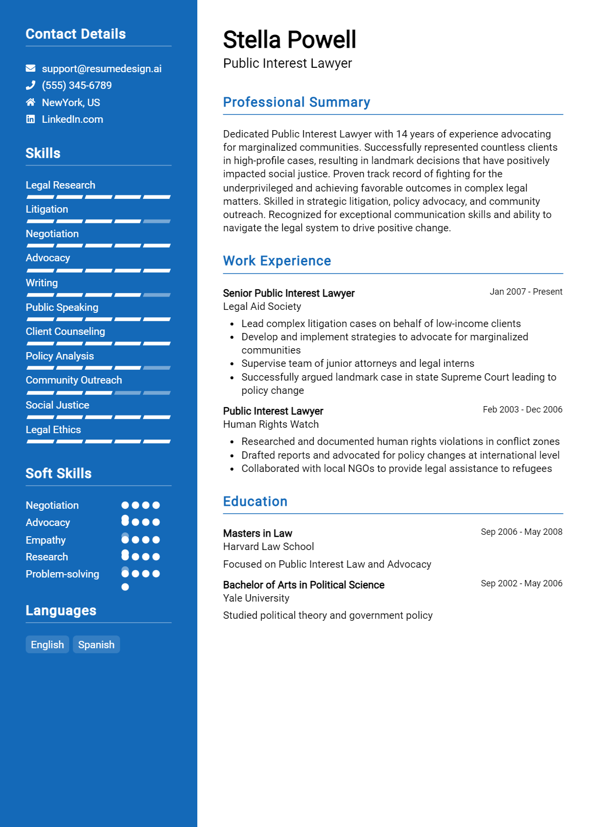 Public Interest Lawyer Resume Example