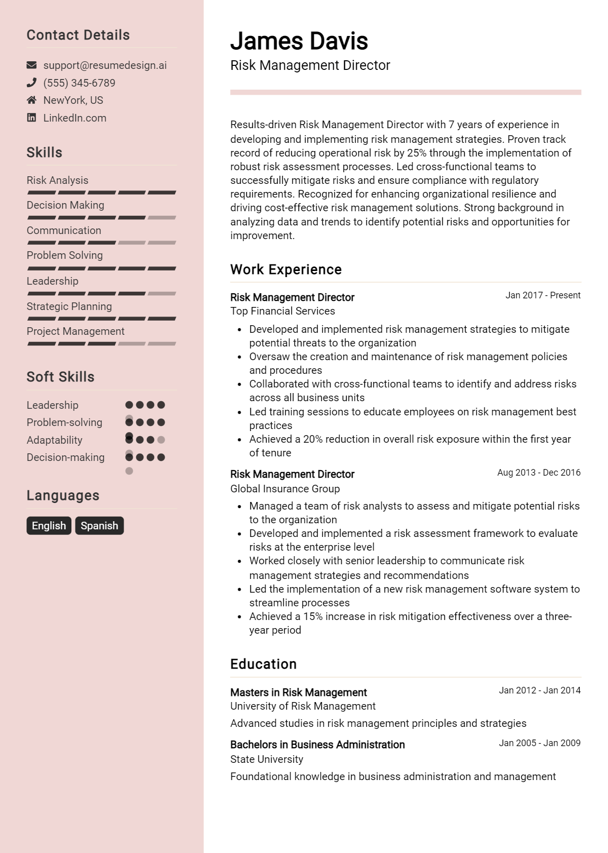 Risk Management Director Resume Example