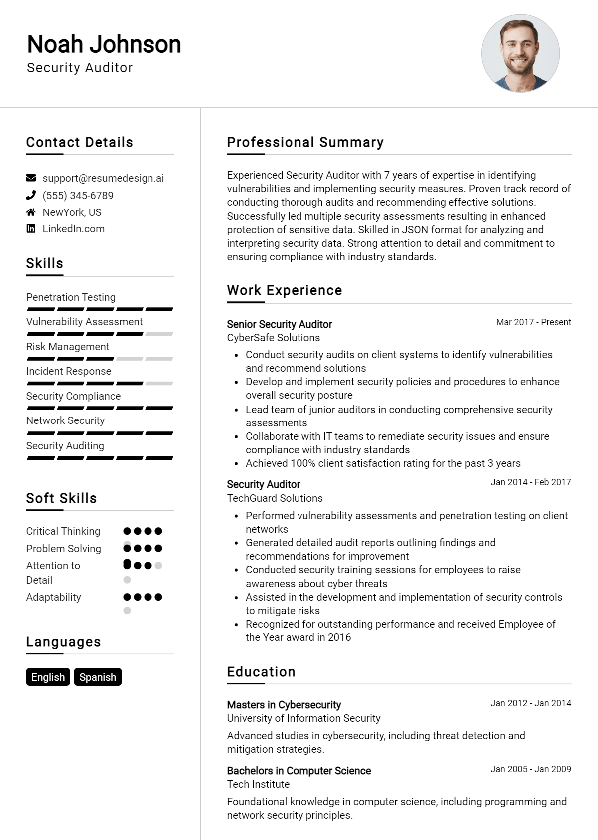 Security Auditor Resume Example