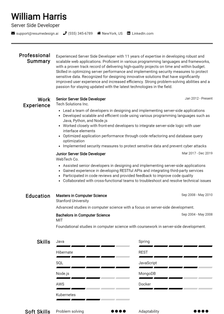 Server Side Developer Resume Example