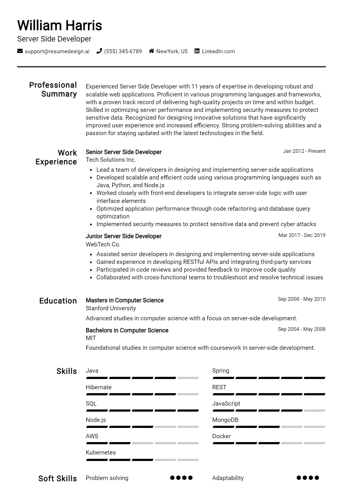 Server Side Developer Resume Example