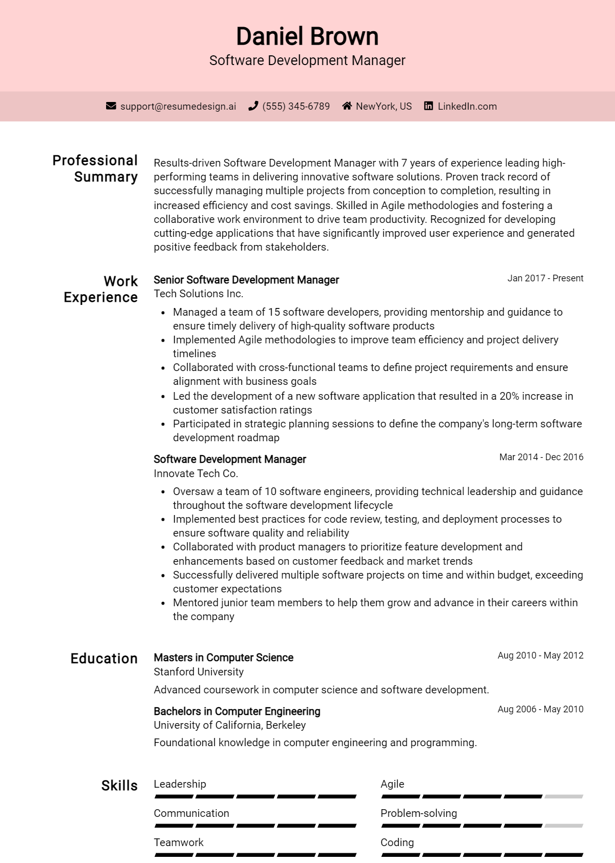 Software Development Manager Resume Example