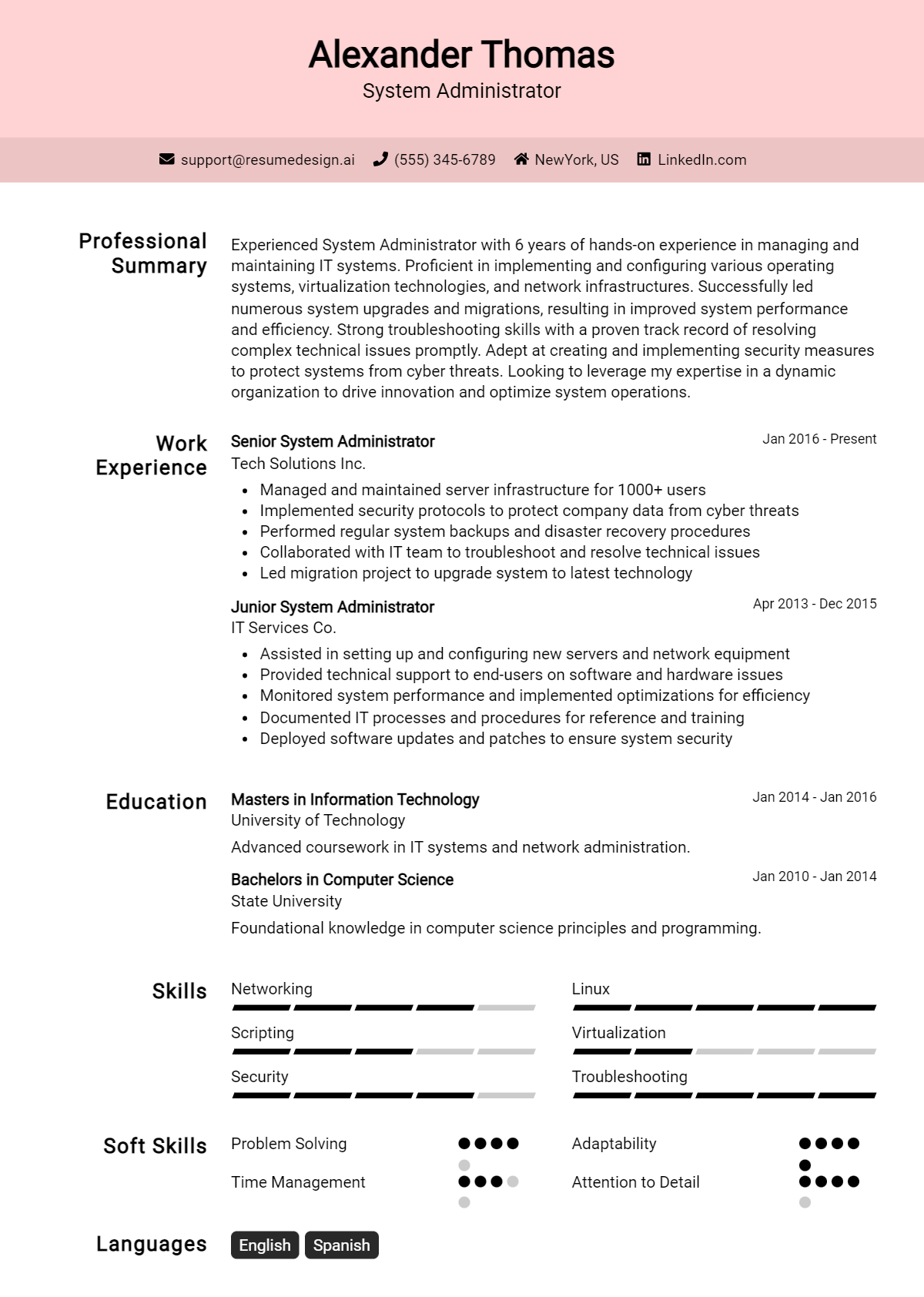 System Administrator Resume Example