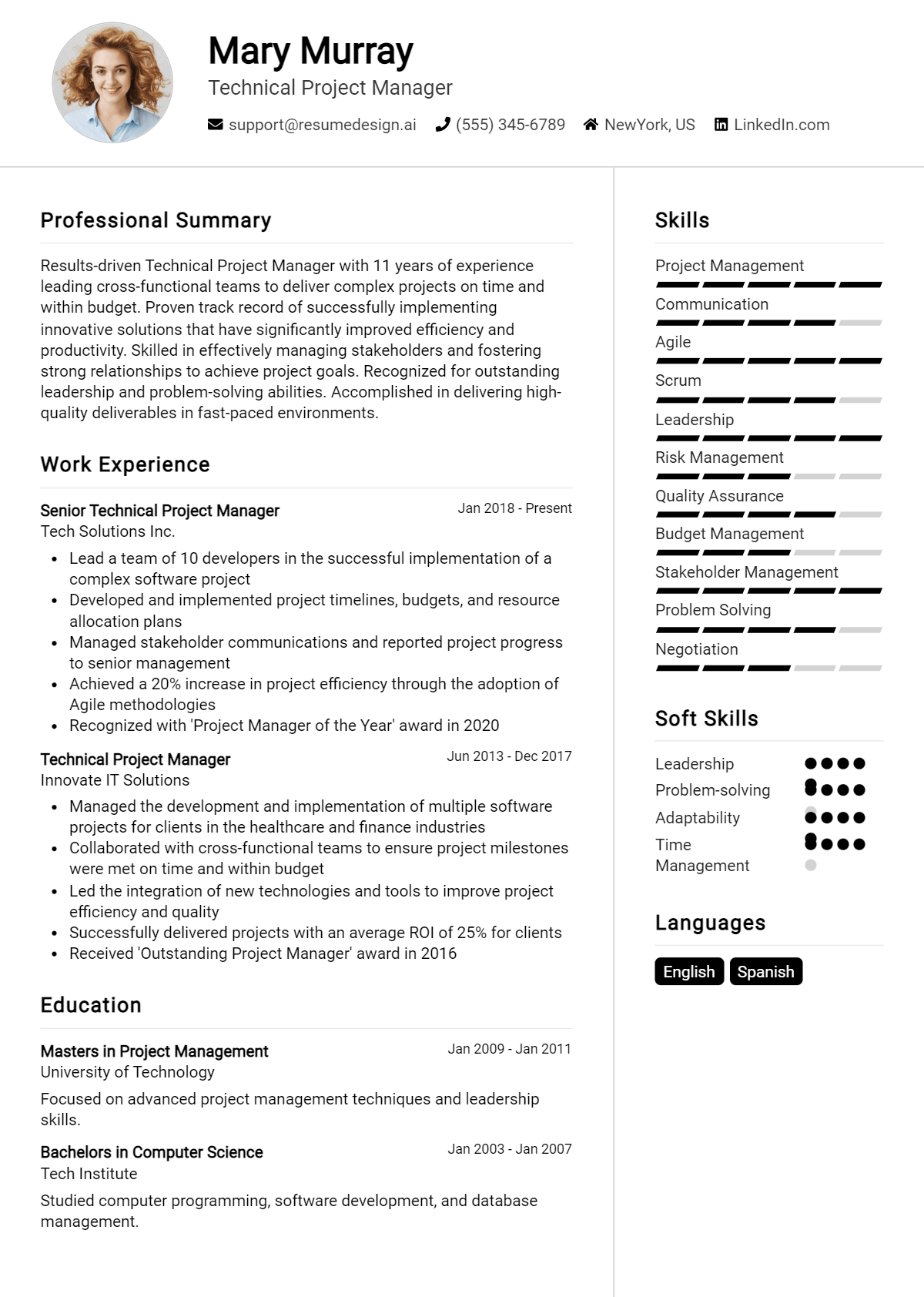 Technical Project Manager Resume Example